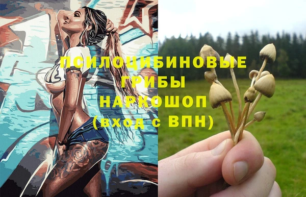трава Алзамай
