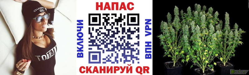 Марихуана Amnesia  цена наркотик  Одинцово 